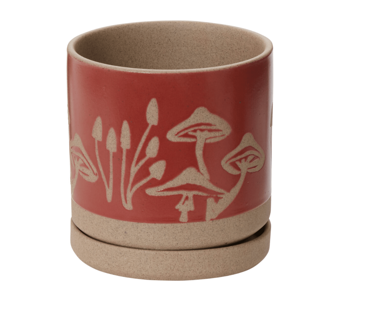 Scavenger Pot - The Plant Lady SF