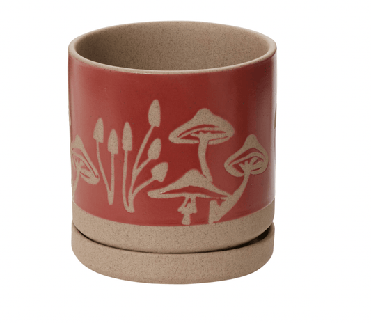 Scavenger Pot - The Plant Lady SF