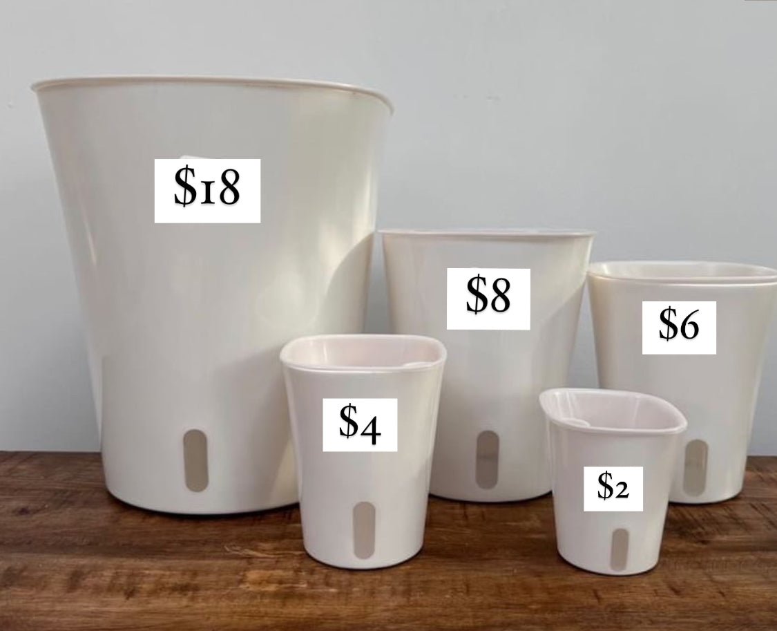 Self Watering Pots - The Plant Lady SF