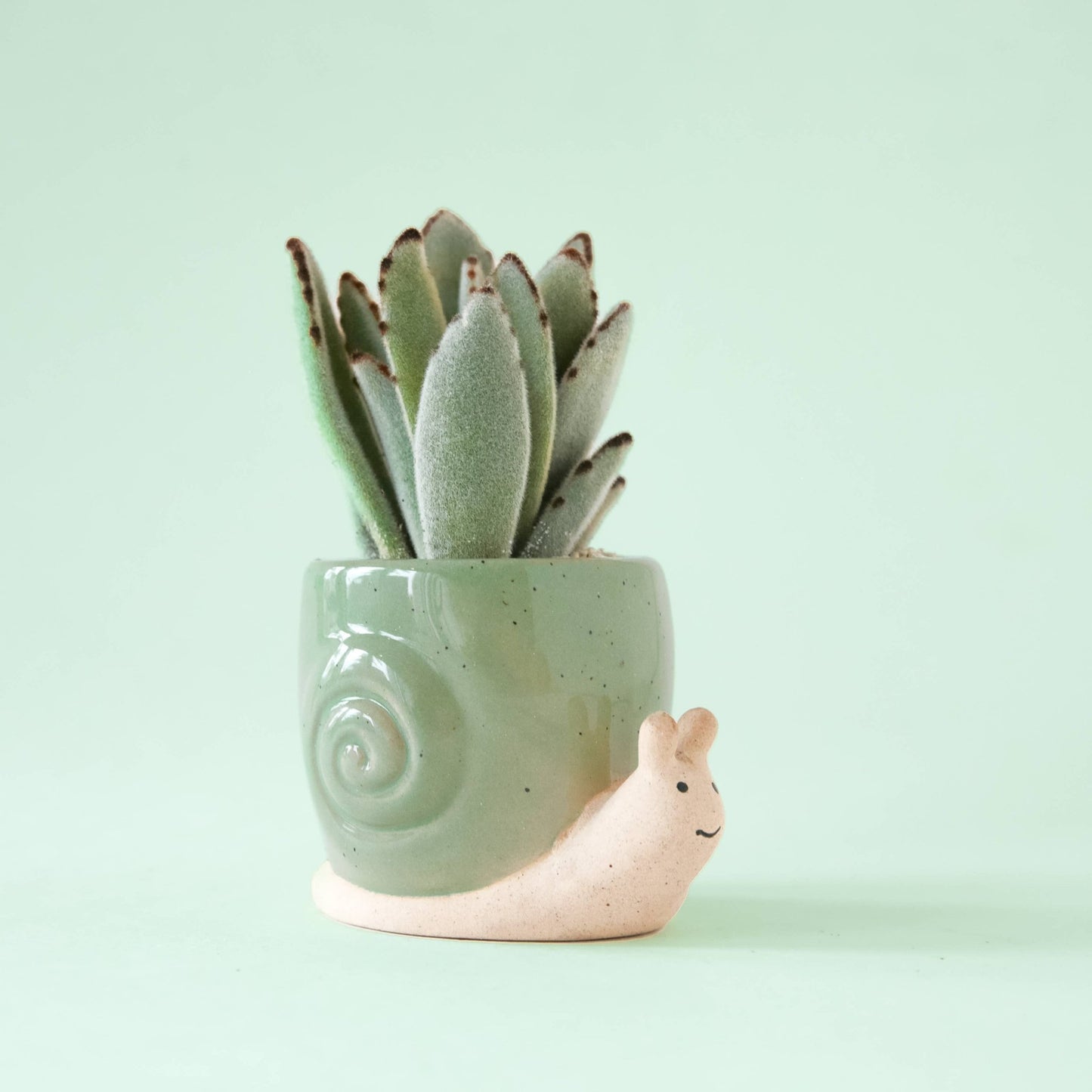 Snail Planter - The Plant Lady SF