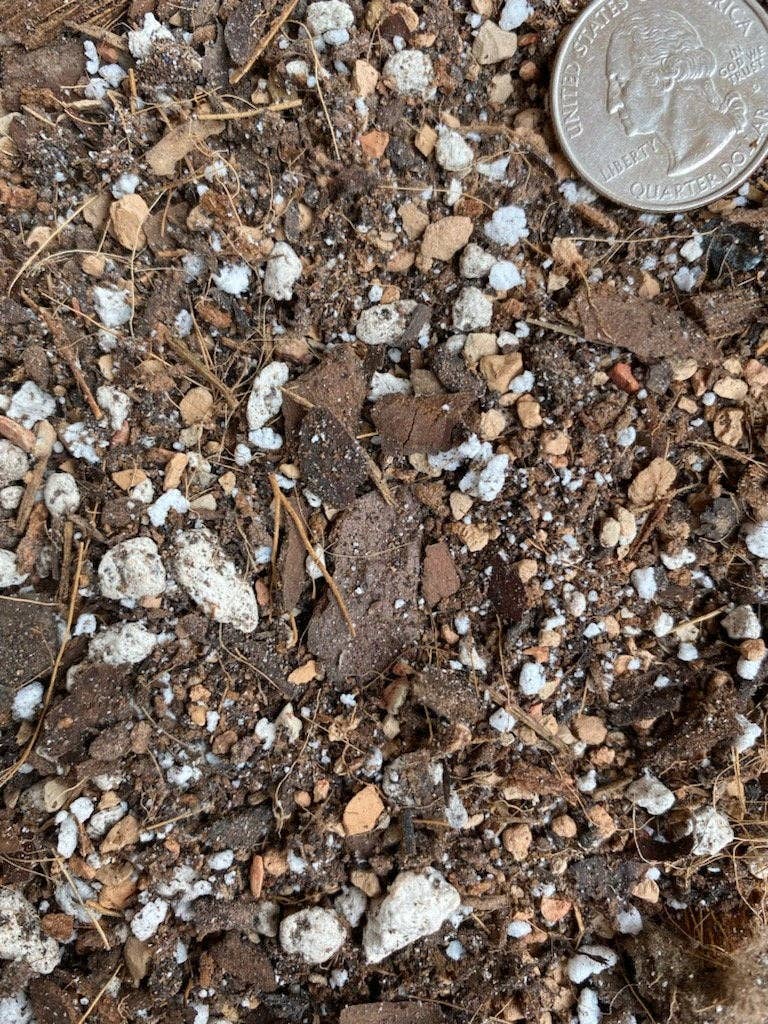 Soil (2Qt) Houseplant Chunky Mix (Aroid/Tropical Mix): 2 Quarts - The Plant Lady SF