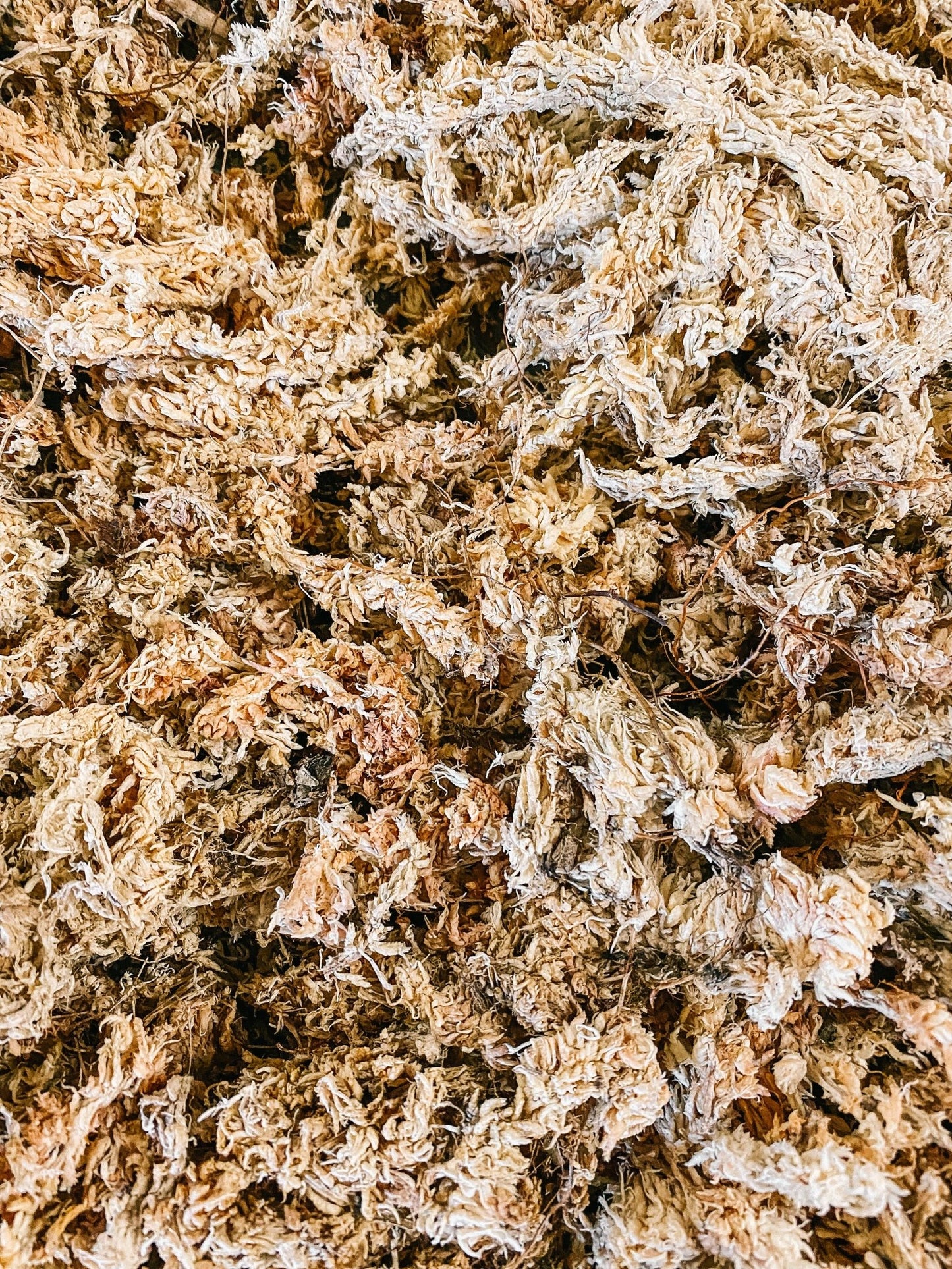 Sphag Bag - 1 Gallon - The Plant Lady SF