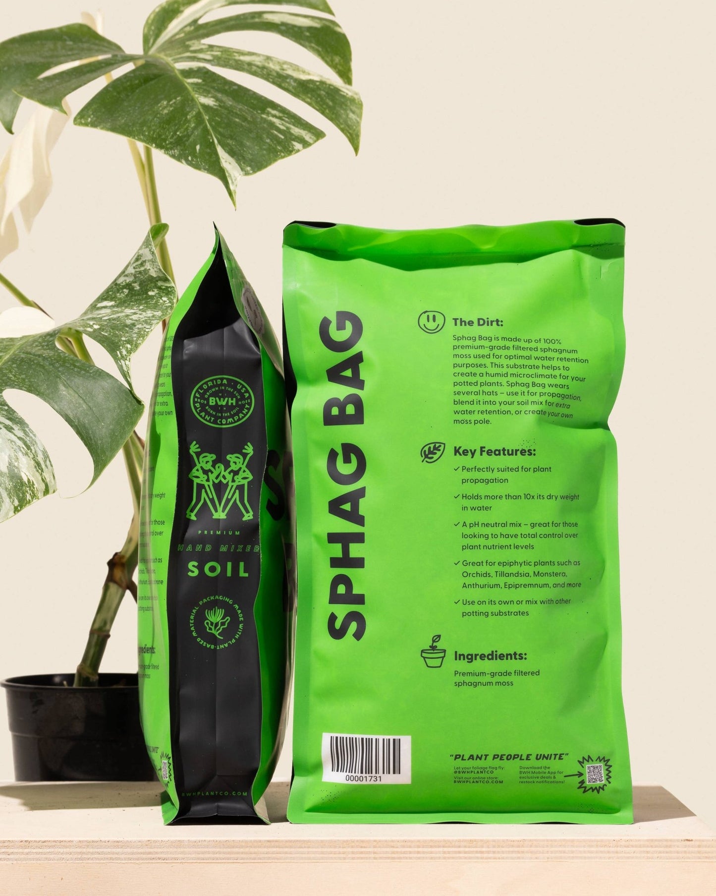 Sphag Bag - 1 Gallon - The Plant Lady SF