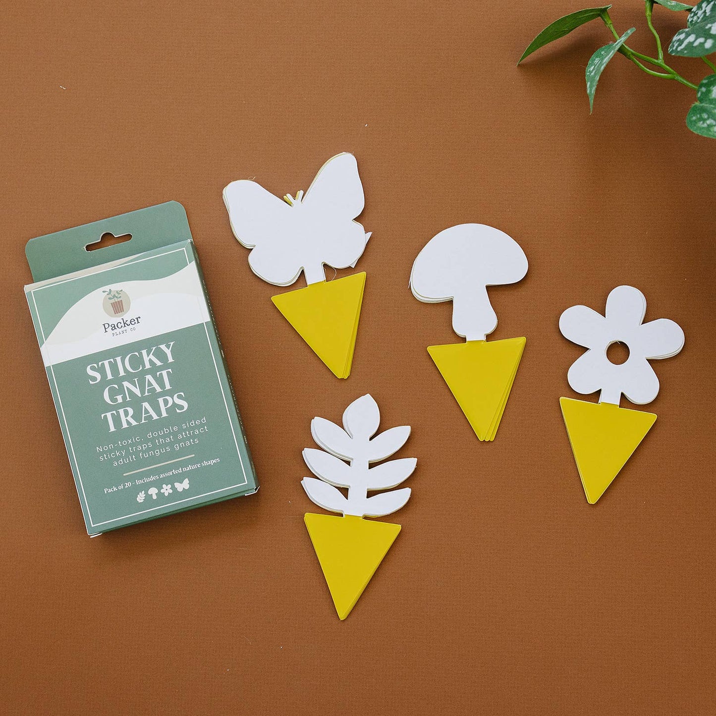 Sticky Gnat Traps (20 ct) - The Plant Lady SF