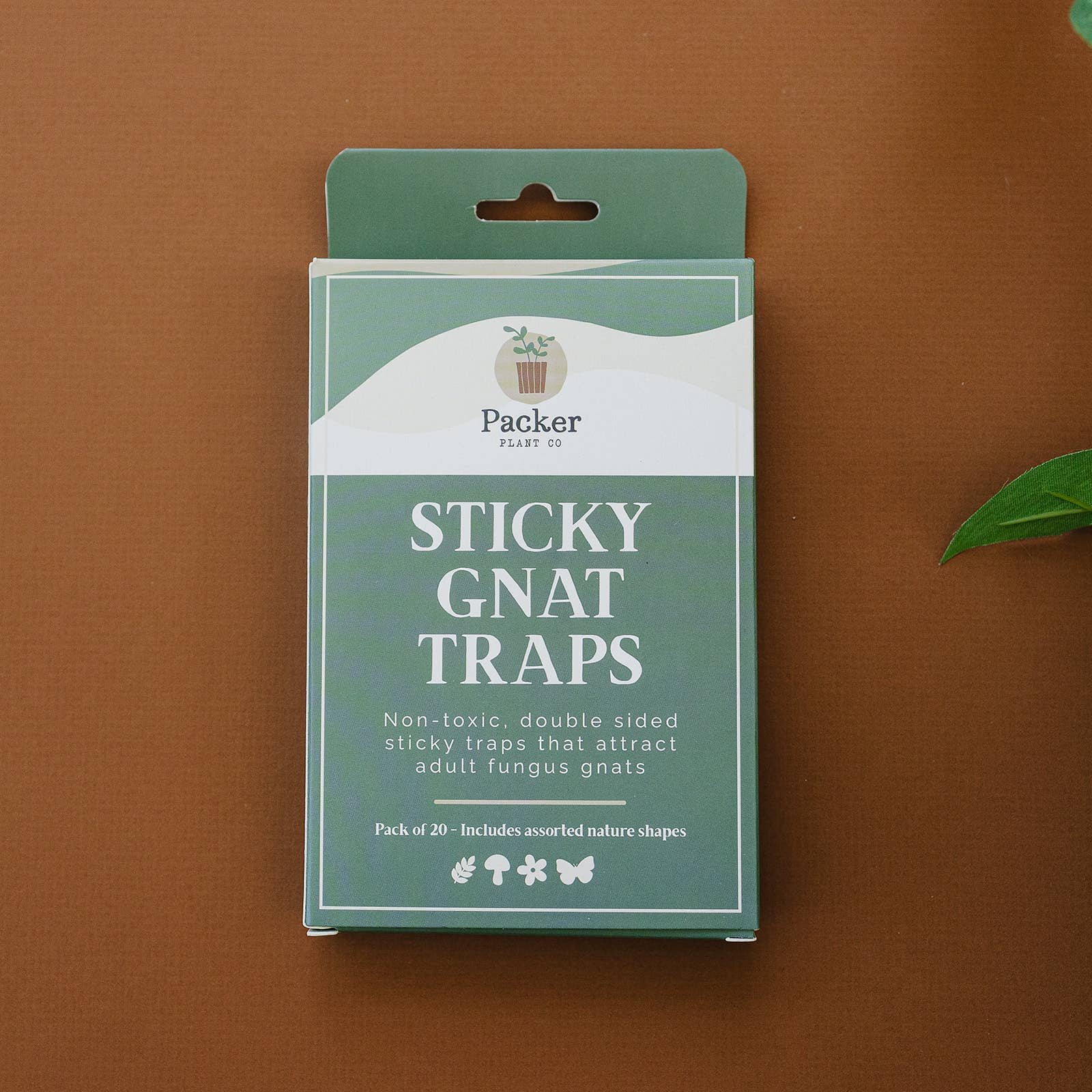 Sticky Gnat Traps (20 ct) - The Plant Lady SF