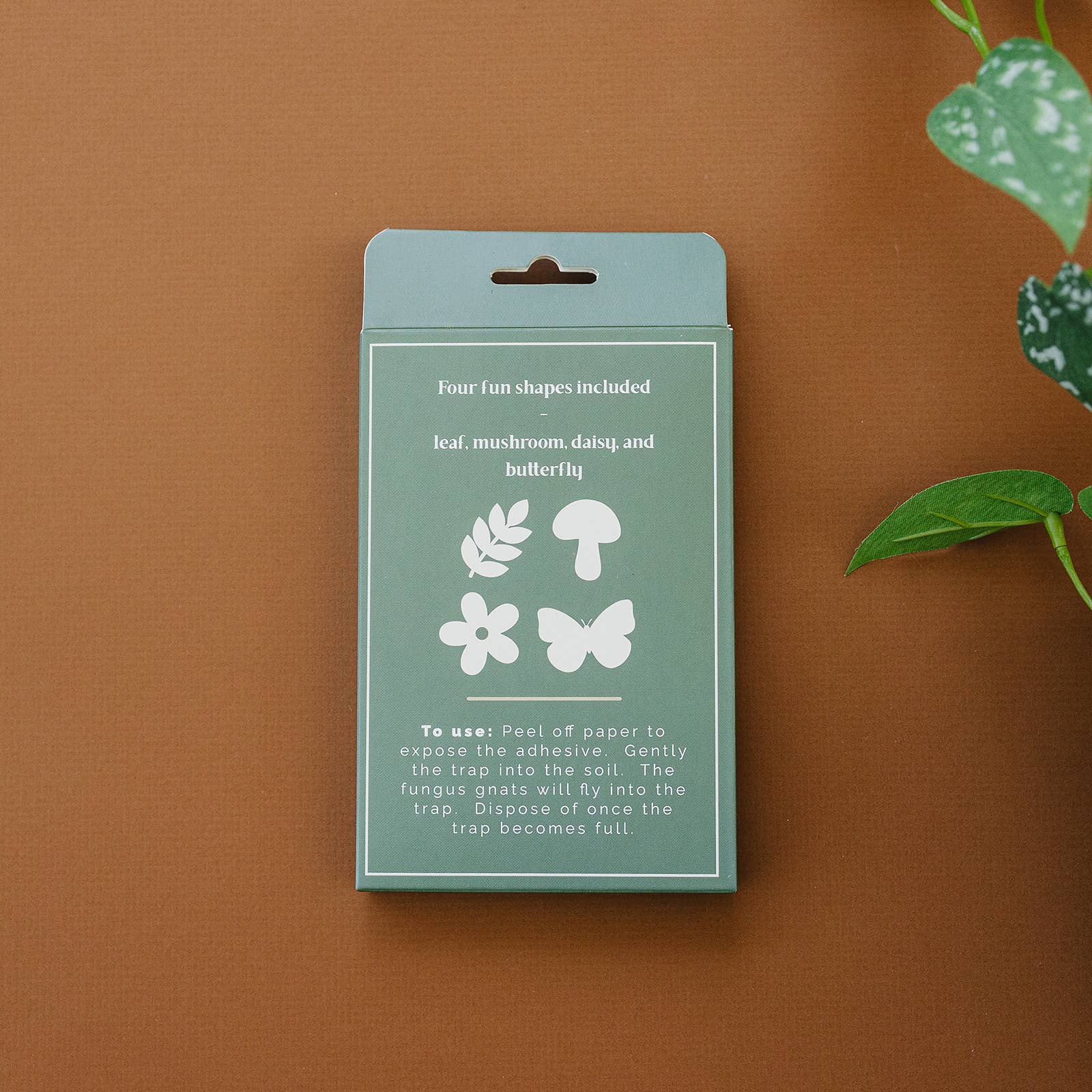 Sticky Gnat Traps (20 ct) - The Plant Lady SF