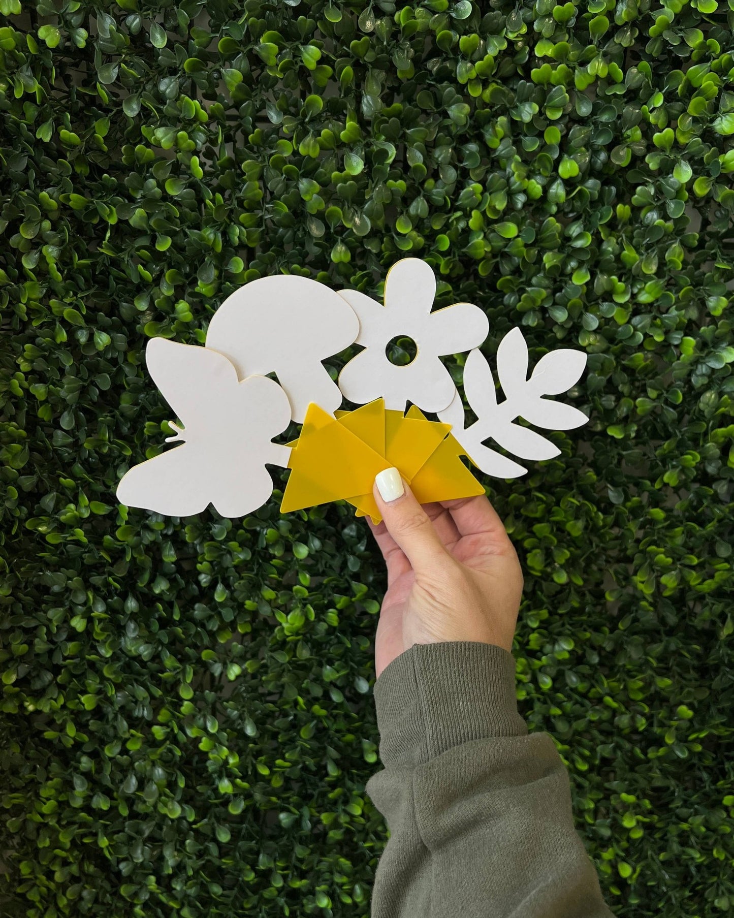 Sticky Gnat Traps (20 ct) - The Plant Lady SF