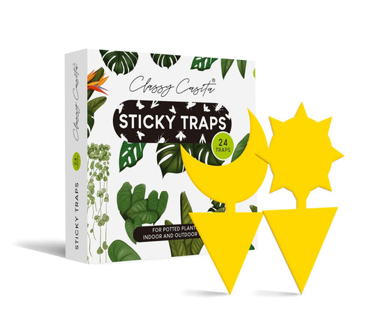 Sticky Traps - The Plant Lady SF