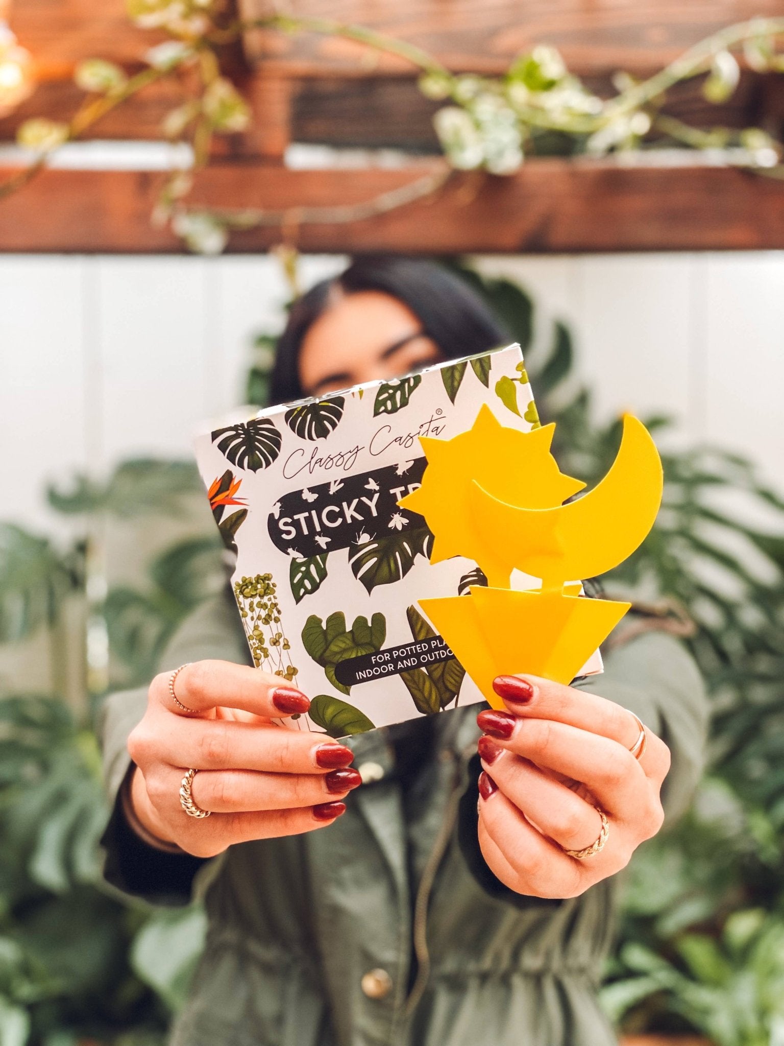 Sticky Traps - The Plant Lady SF