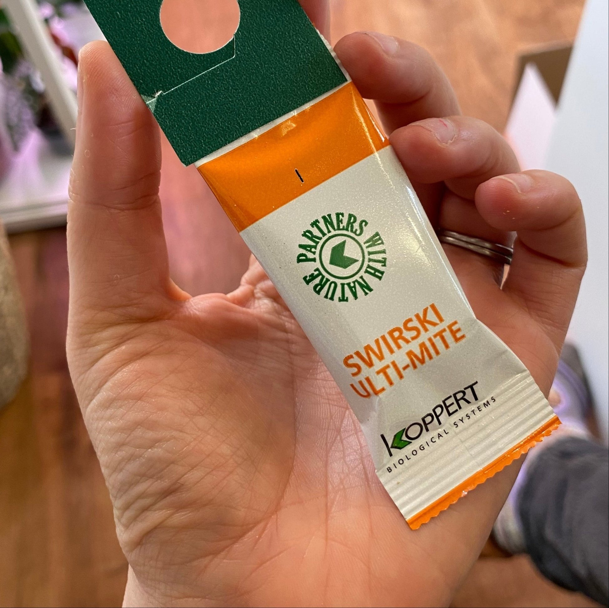 Swirski Ulti - Mites / Mite Plus (Amblyseius swirskii) Predatory Mite - The Plant Lady SF