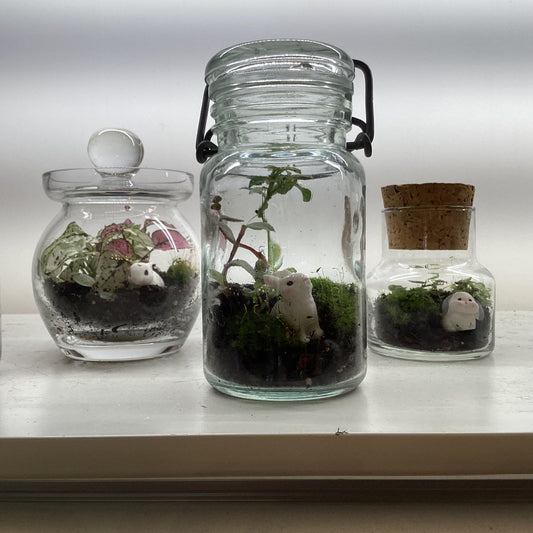 Terrariums by Linden Moss - The Plant Lady SF