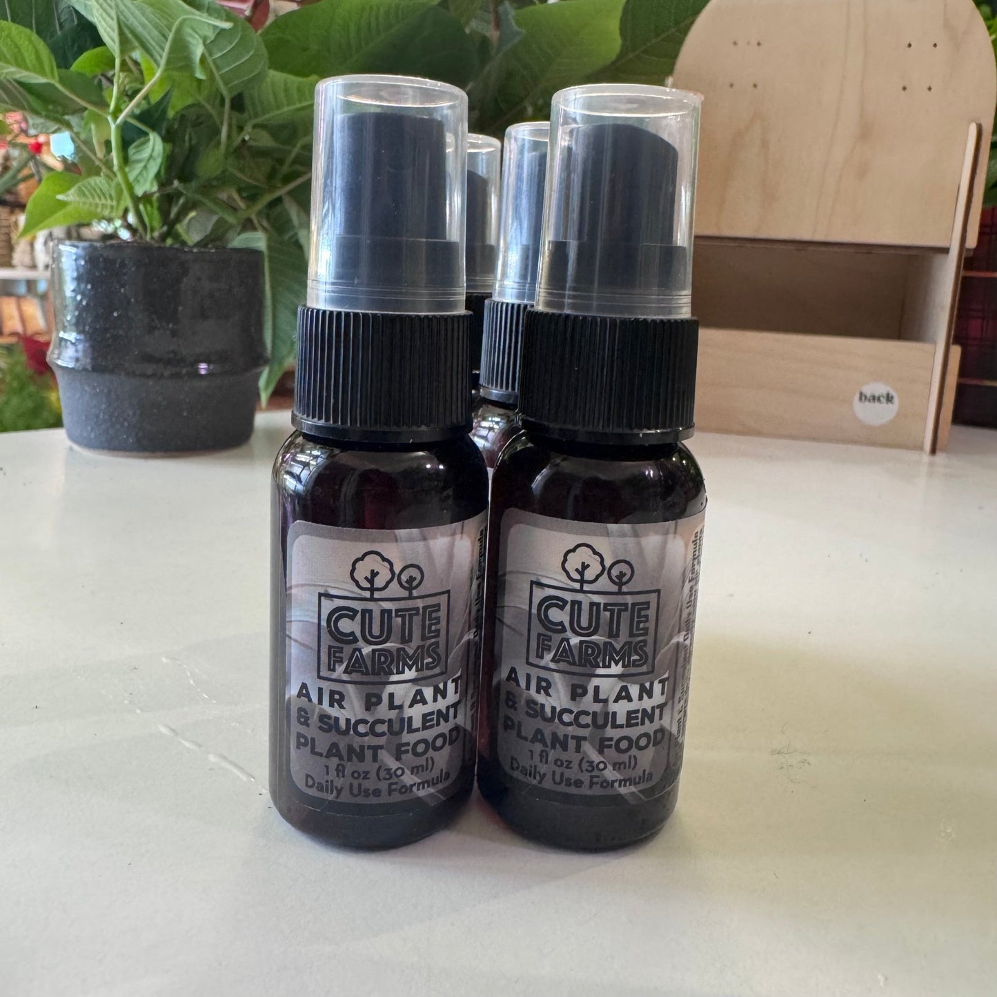 Tillandsia Air Plant Fertilizer - The Plant Lady SF