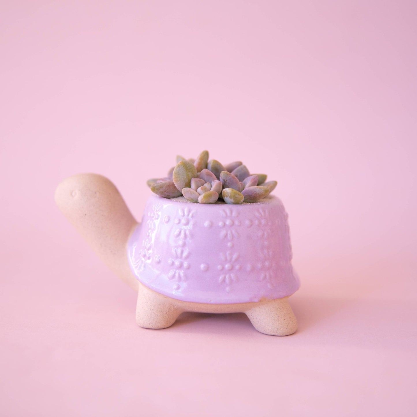 lilac ceramic plant pot Turtle Planter