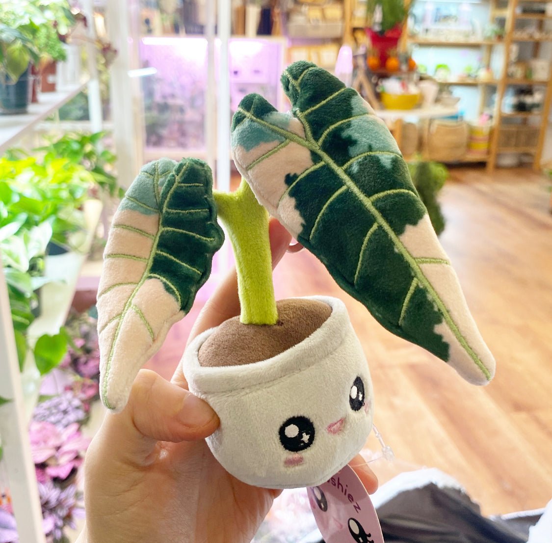 Variegated Alocasia Keychain / Tree Ornament by Blushiez - The Plant Lady SF
