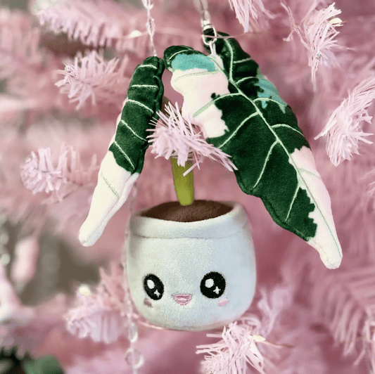 Variegated Alocasia Keychain / Tree Ornament by Blushiez - The Plant Lady SF