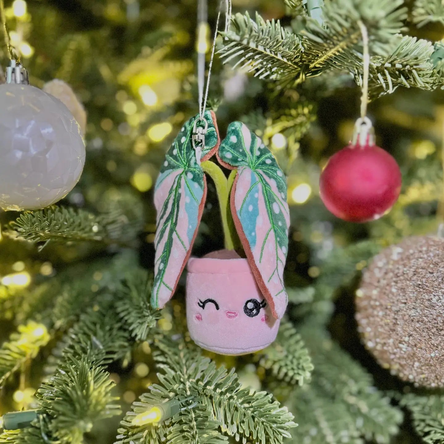 Variegated Begonia Maculata Keychain / Tree Ornament by Blushiez - The Plant Lady SF