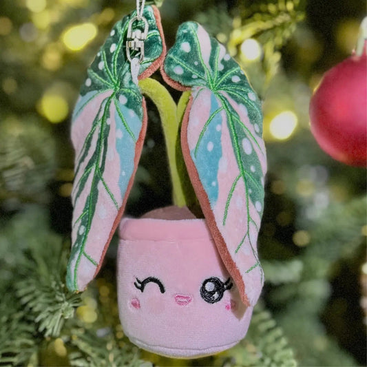 Variegated Begonia Maculata Keychain / Tree Ornament by Blushiez - The Plant Lady SF