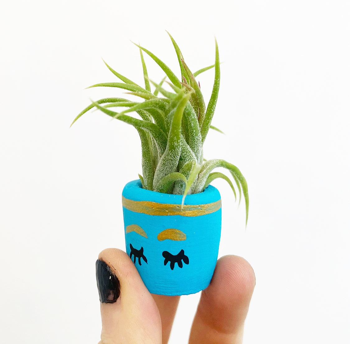 Mini Planter with Air Plant Included