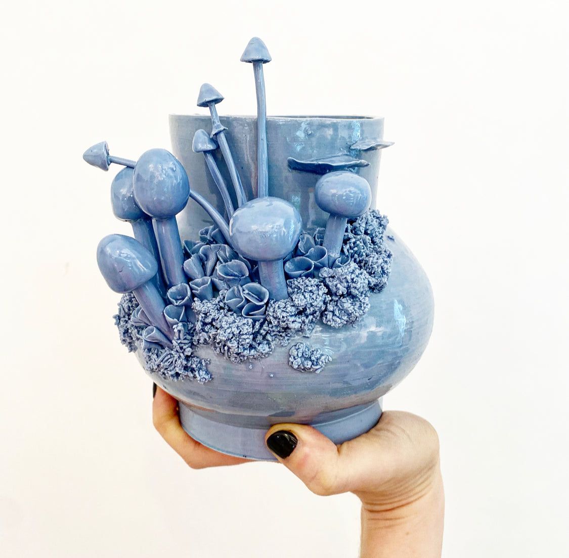 Mushroom Pot by Jonathan Fong