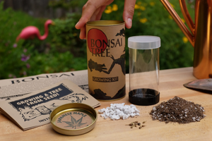Bonsai Tree | Seed Grow Kit