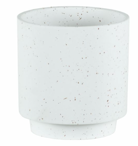 Speckled Rice Pot
