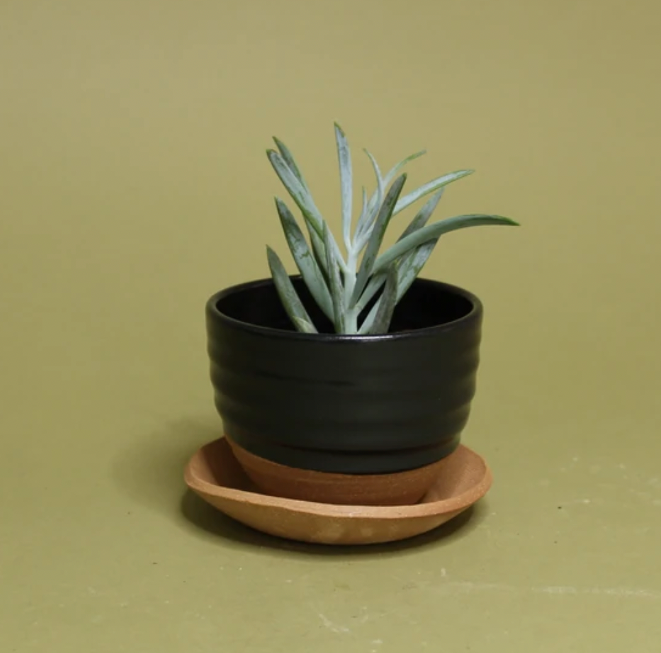 The Loft Planter by Gravesco Pottery