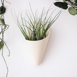 Load image into Gallery viewer, Carter &amp; Rose Cone Wall Planters
