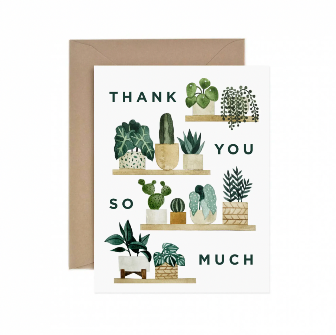 Paper Anchor Co. Greeting Cards