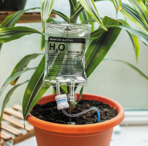 Plant Life Support | Houseplant Watering Device