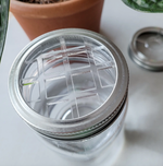 Load image into Gallery viewer, Mason Jar Lid Inserts - Plant Propagation and Flower Vase
