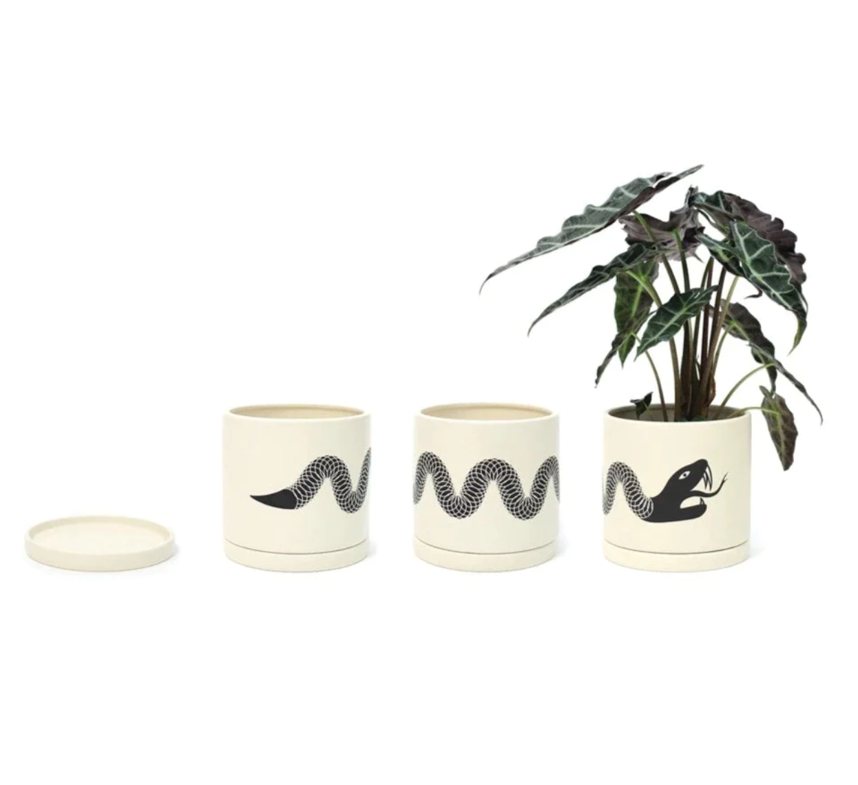 Ouroboros Snake Planters by Soul of the Party