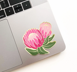 Load image into Gallery viewer, Stickers by Paper Anchor Co.
