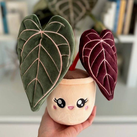 Anthurium Red Crystallinum Plushie by Blushiez - The Plant Lady SF