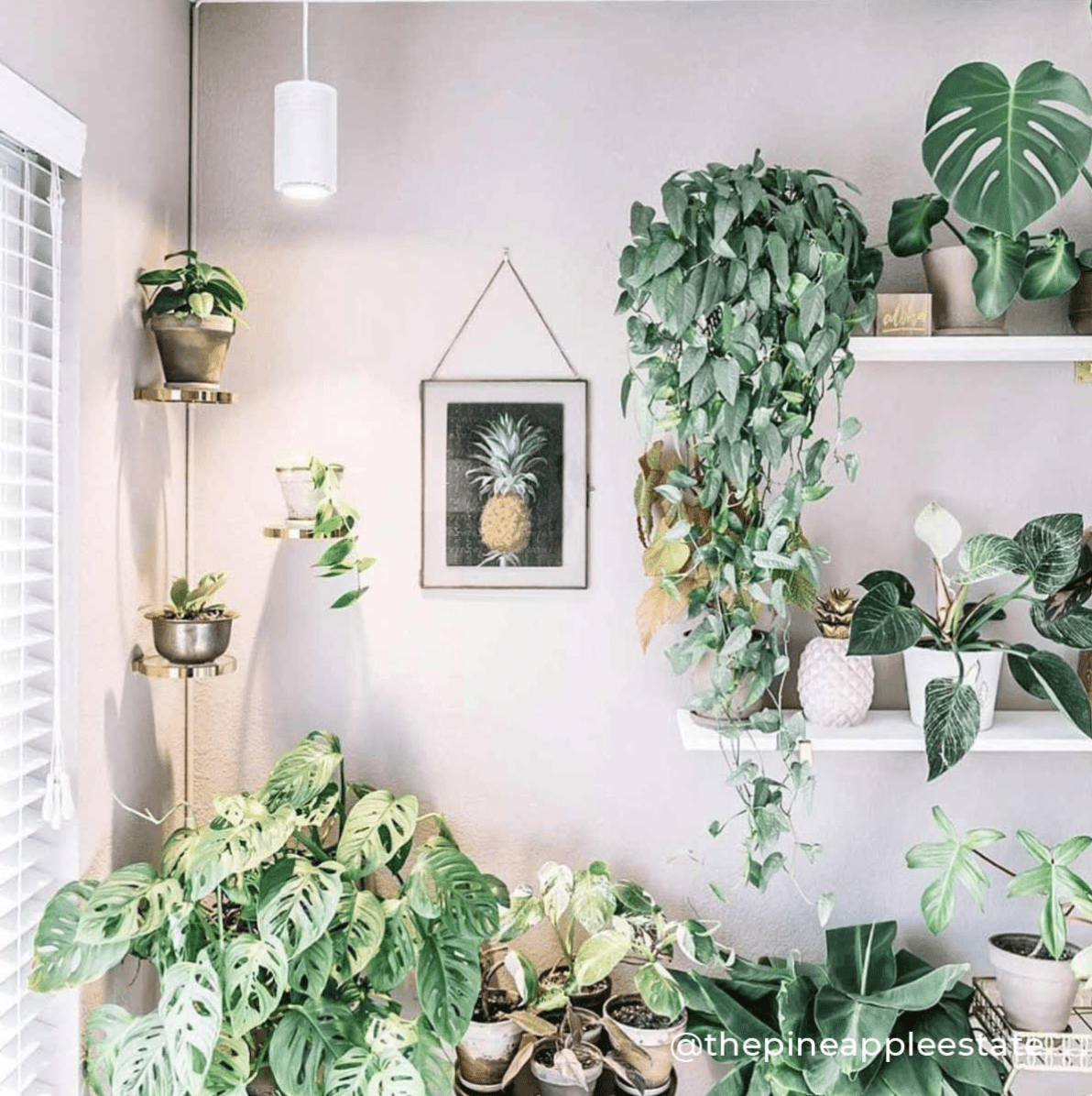 Aspect™ LED Growlight from Soltech Solutions - The Plant Lady SF