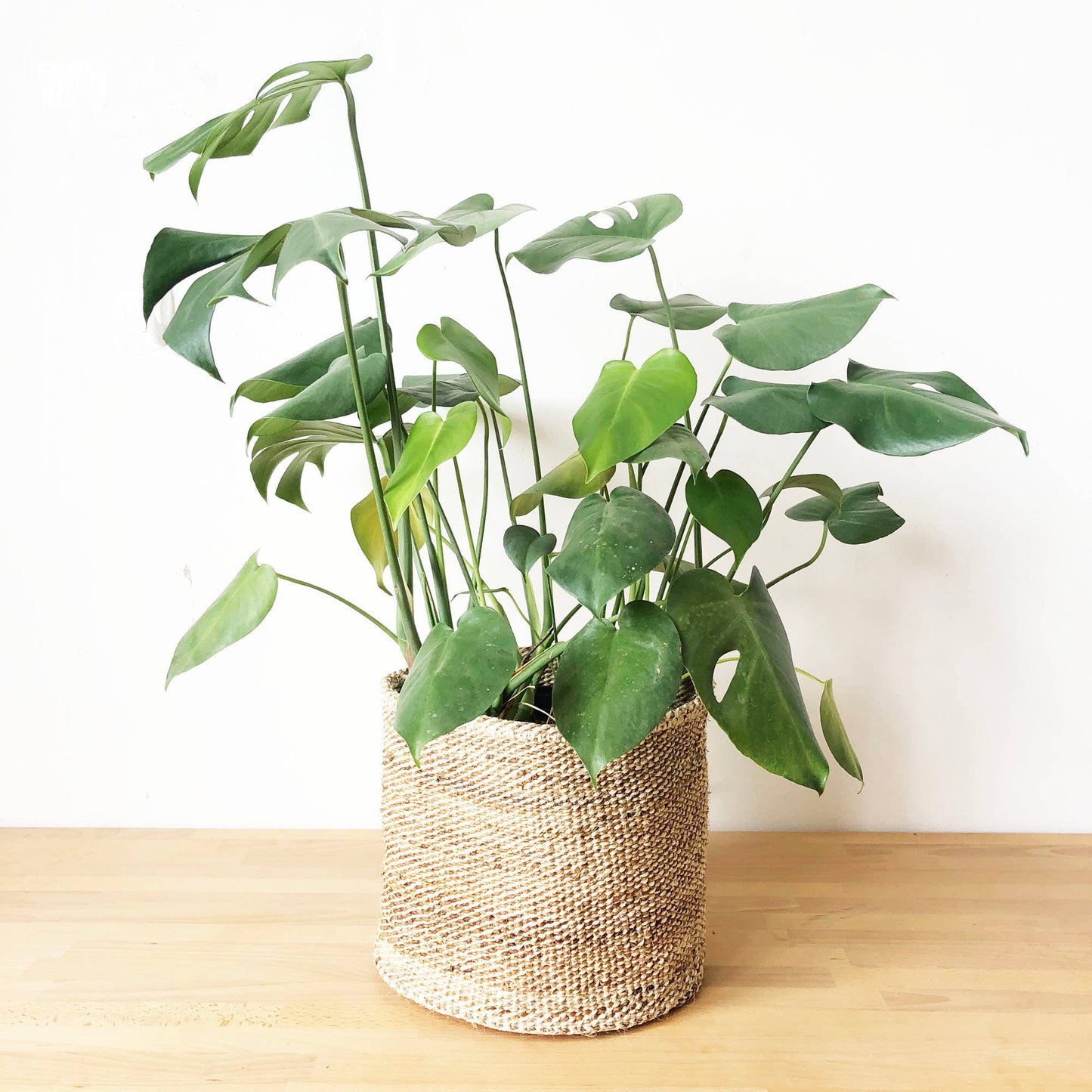 Banana Leaf Storage Basket - The Plant Lady SF