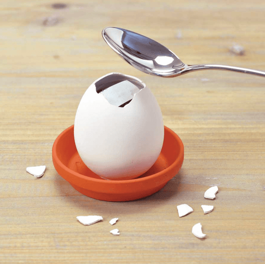 Eggling (Cactus Grow Kit) - The Plant Lady SF