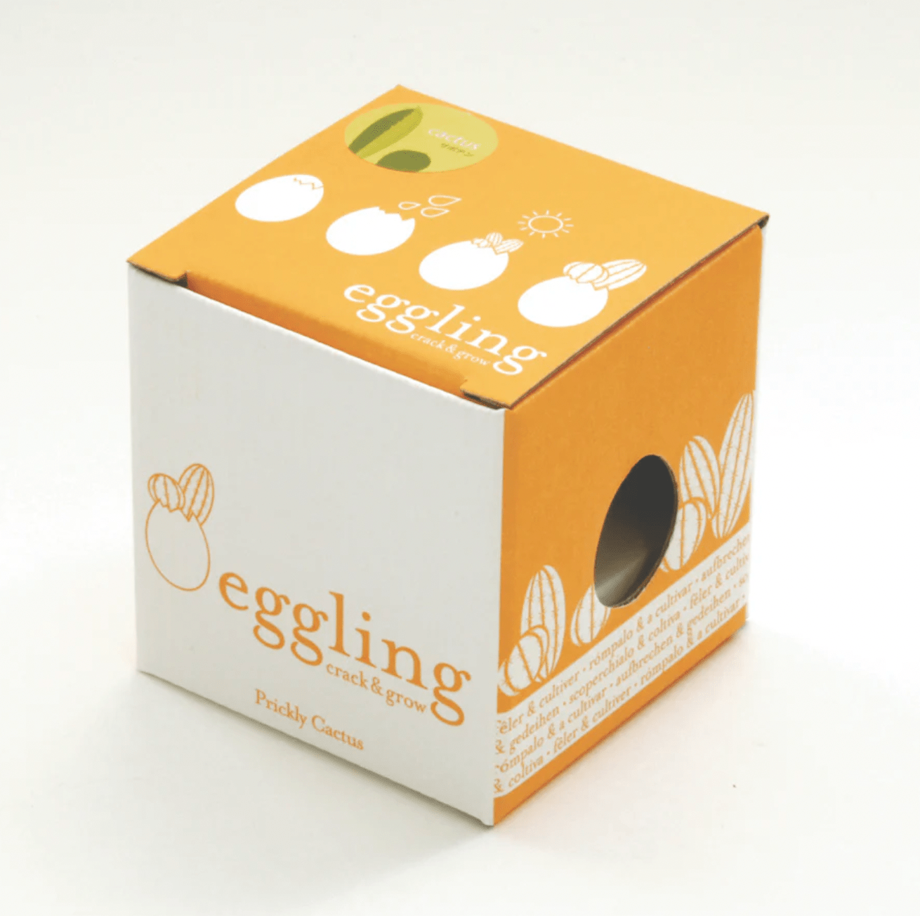 Eggling (Cactus Grow Kit) - The Plant Lady SF