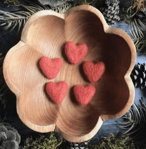 Felt Wool Hearts - The Plant Lady SF