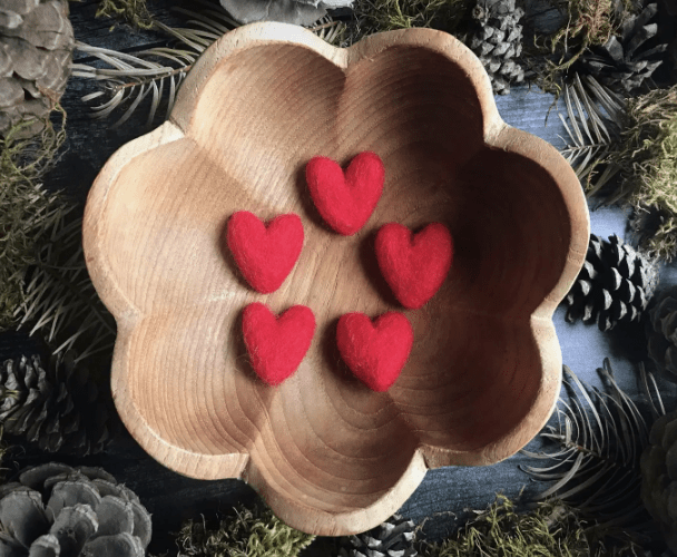 Felt Wool Hearts - The Plant Lady SF