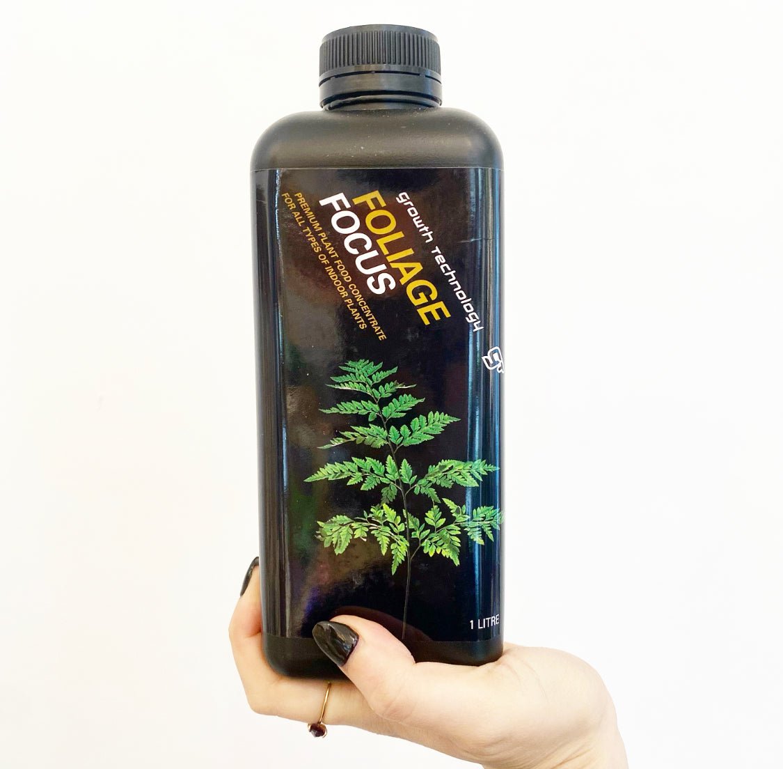fertilizer for foliage plants GT: Foliage Focus Fertilizer