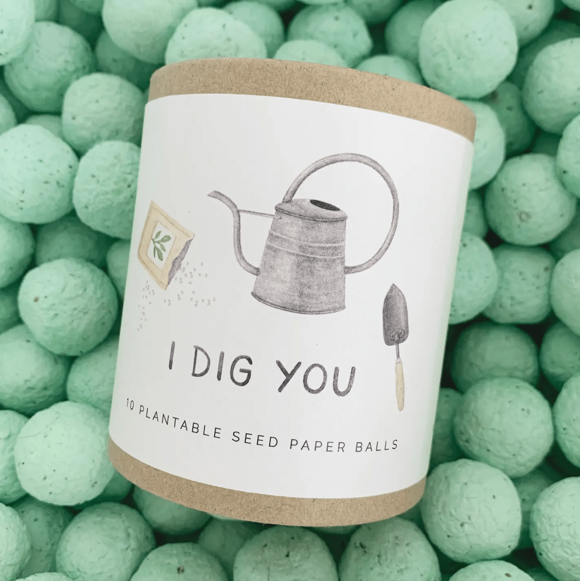 I Dig You — Plantable Wildflower Seed Ball Gift Set - The Plant Lady SF