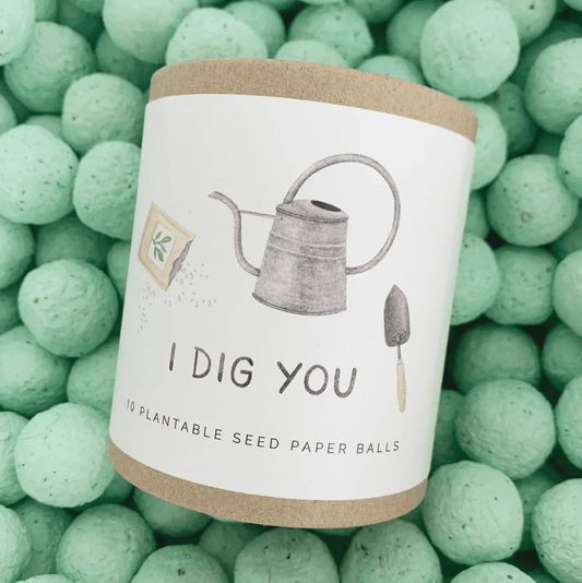I Dig You — Plantable Wildflower Seed Ball Gift Set - The Plant Lady SF
