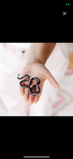 Load image into Gallery viewer, Ceramic Snakes
