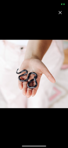 Ceramic Snakes