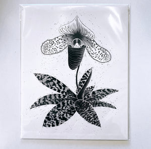 Paphiopedilum Orchid Art Print