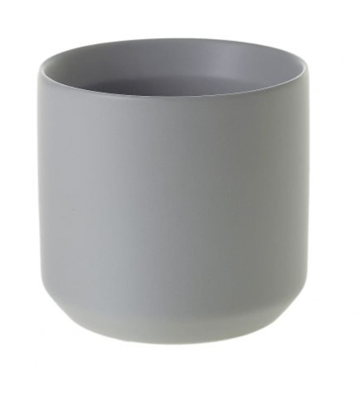 Kendall Collection - The Plant Lady SF