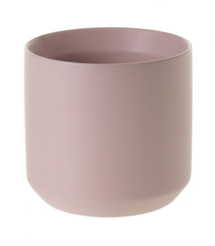 Kendall Collection - The Plant Lady SF