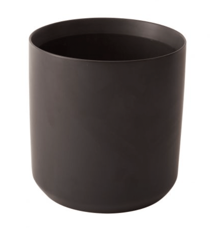 Kendall Collection - The Plant Lady SF