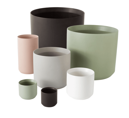 Kendall Collection - The Plant Lady SF