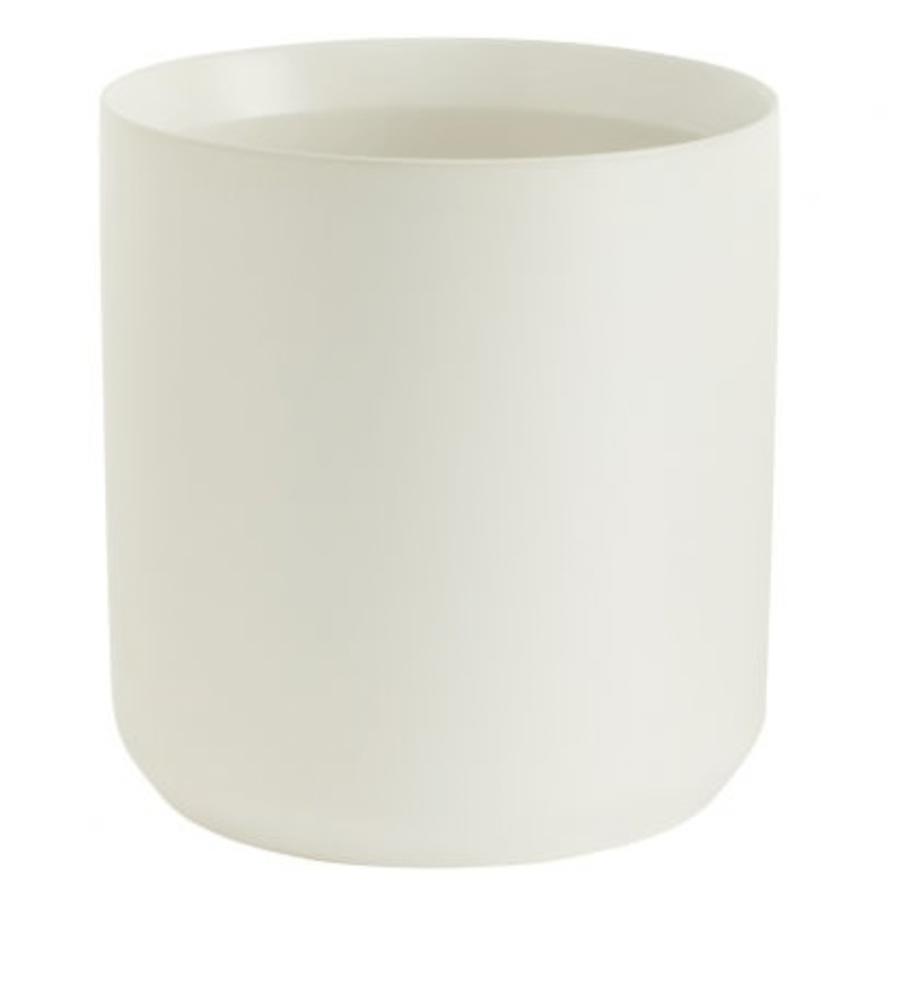 Kendall Collection - The Plant Lady SF